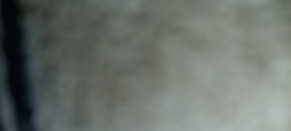 1000003715.jpg - Rafkabii