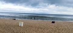 IMG_20240713_102529.jpg