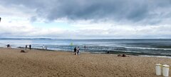 IMG_20240713_102456.jpg