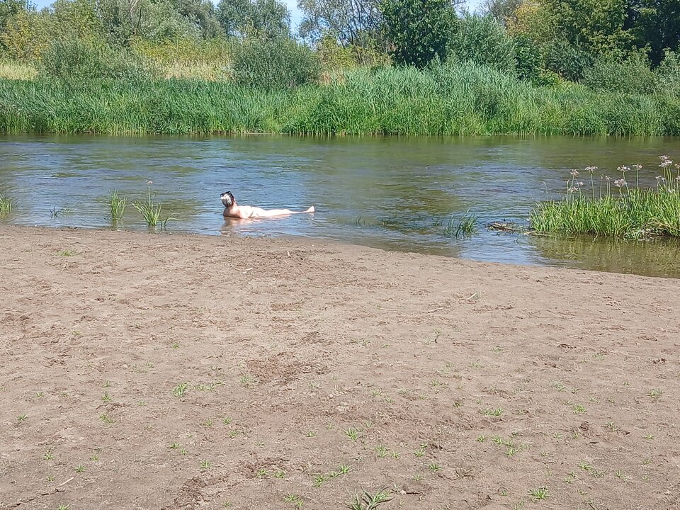 1000004810.jpg - Rownolegle69