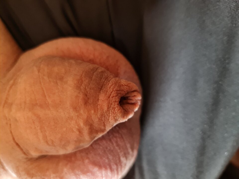 20240714_155331.jpg - DAVIDdavid1