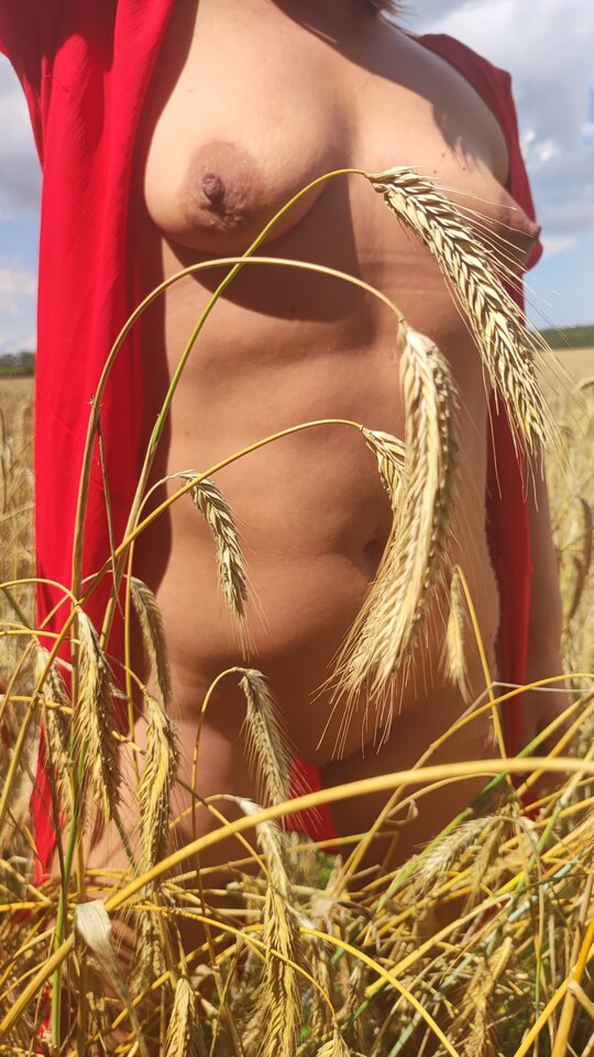 IMG_20240714_160209.jpg - Fajnimy2