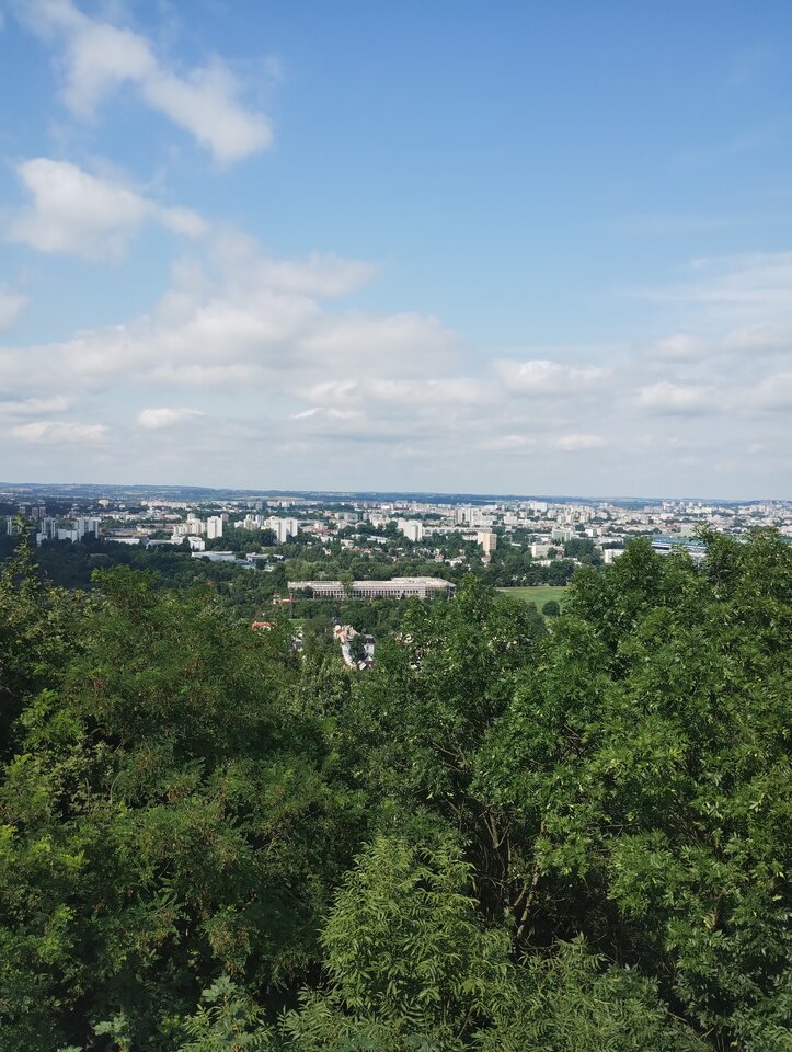 IMG_20240714_154055602.jpg - rafi07