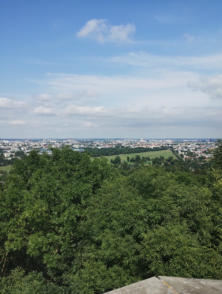 IMG_20240714_154051934.jpg - rafi07