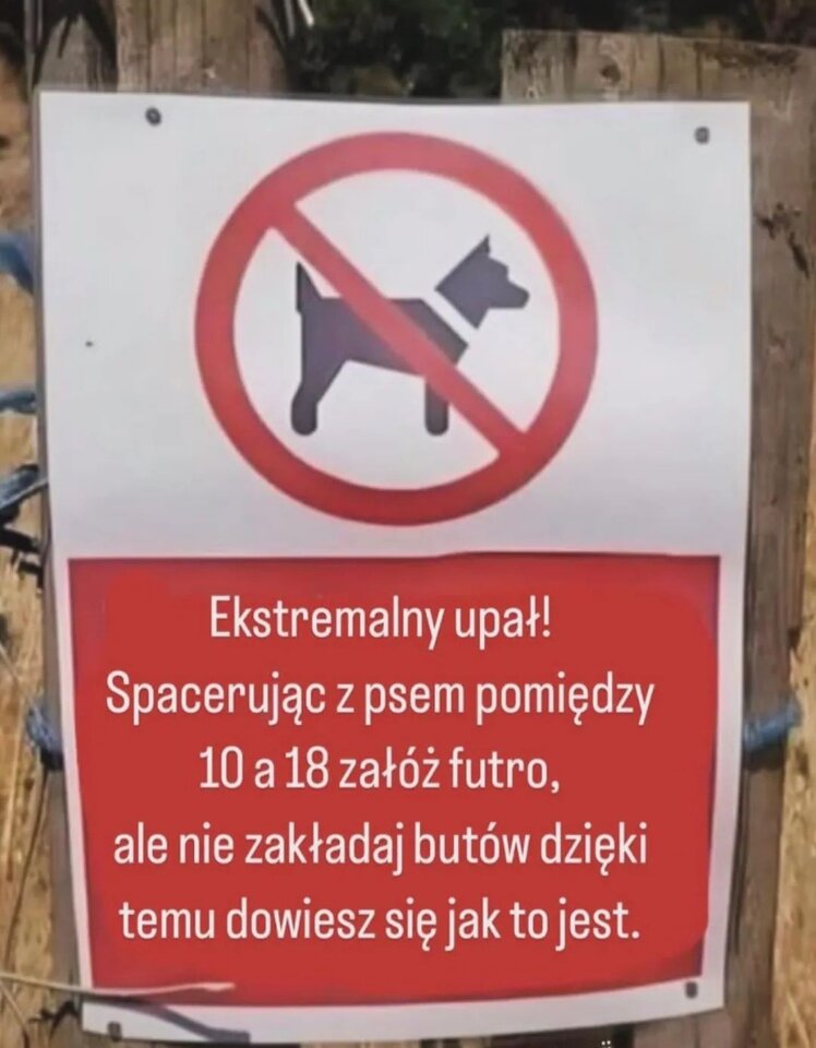 IMG_20240714_162108.jpg - Nicci