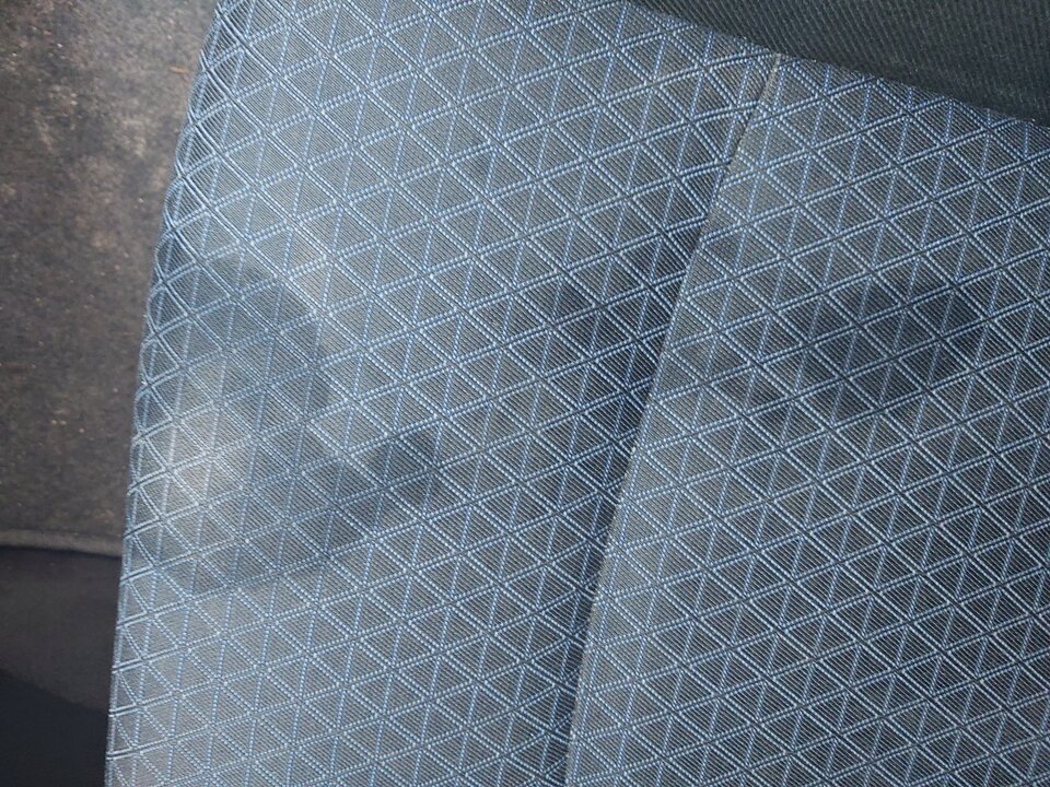 20240715_102837.jpg - Wstydliwa11