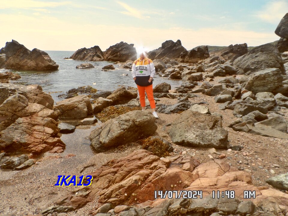 SAM_1947.JPG - ika13