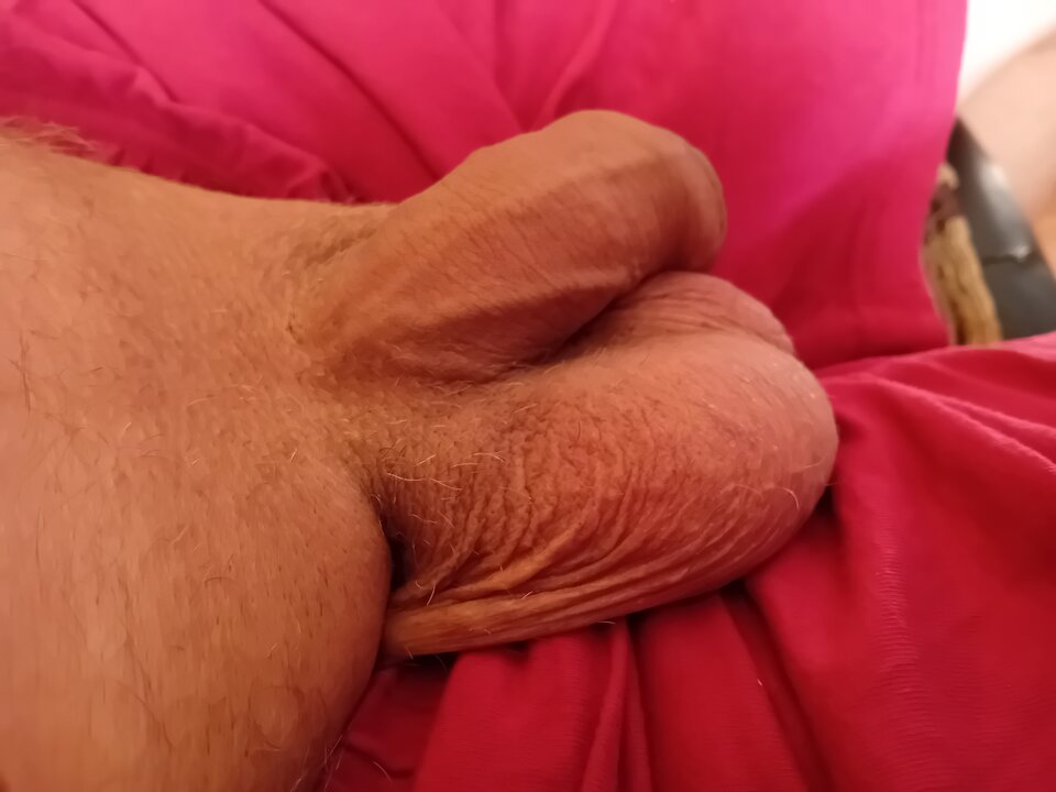 1000003434.jpg - brus13