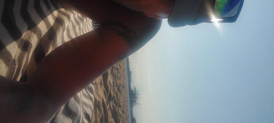 20240715_183952.jpg - Gajor01