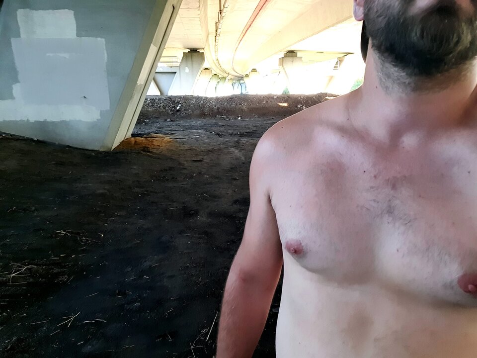 1000039660.jpg - toxict