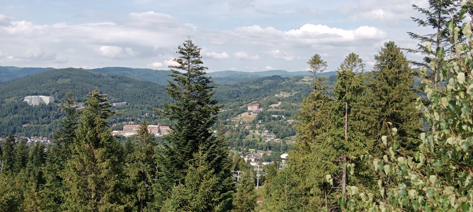 🌲⛰️ - Bajabongo693