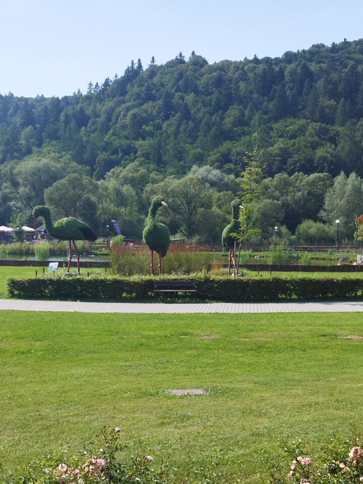 IMG_20240715_160524.jpg - faroamon6971