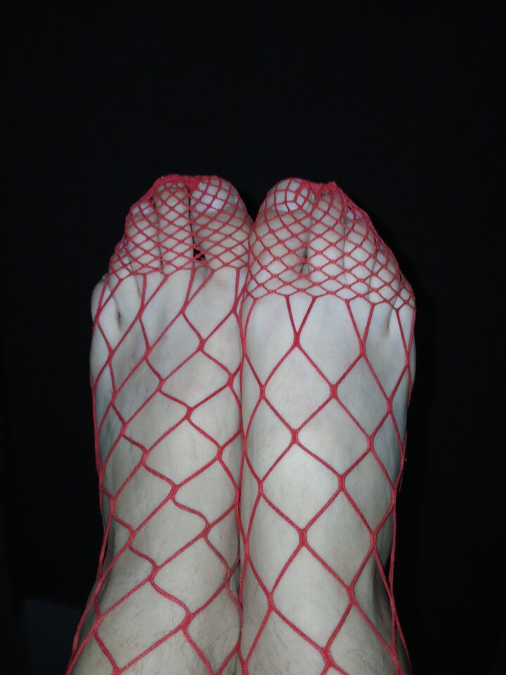 20240715_231836.jpg - Transpola