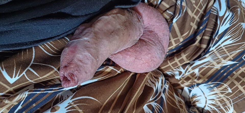 Wietrzenie upalny dzień - Fiutkutaschujjaja