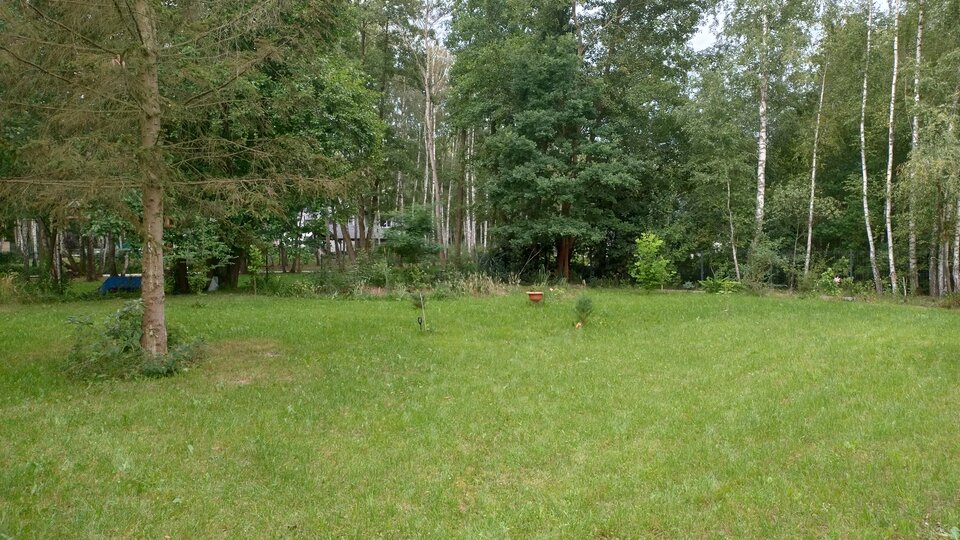 1000001440.jpg - Geralt197