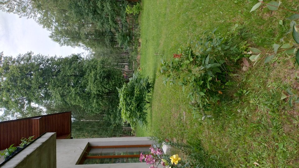 1000001438.jpg - Geralt197