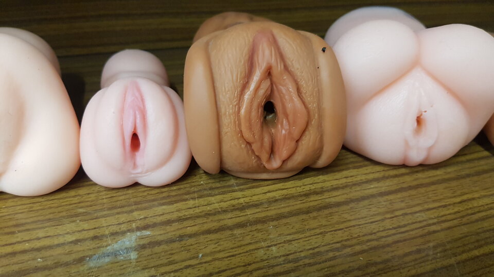 20240714_075456.jpg - bruno1981