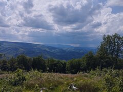 IMG_20240526_140635.jpg