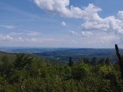 IMG_20240526_140855.jpg