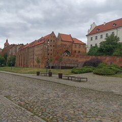 IMG_20240702_103130.jpg
