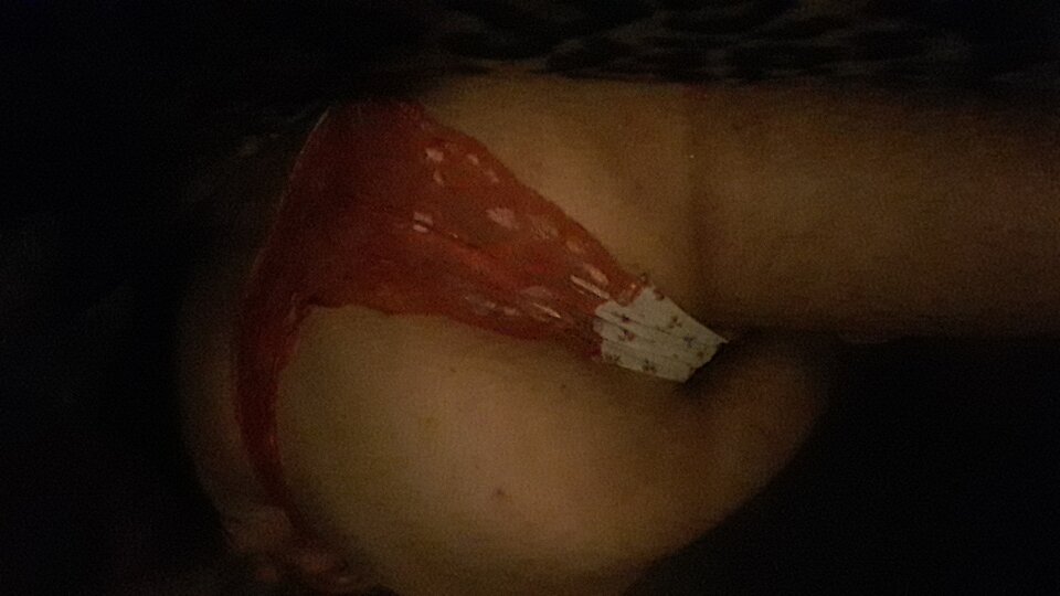 20240716_221456.jpg - Assholeat1