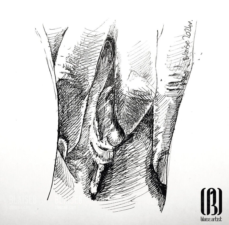 Art. No. 287 - blaise8