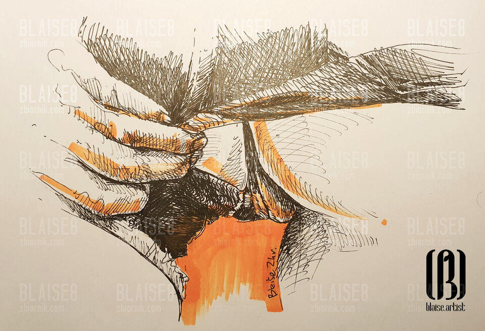 Art. No. 288 - blaise8