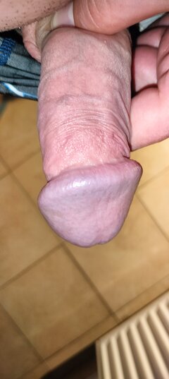 1000019307.jpg