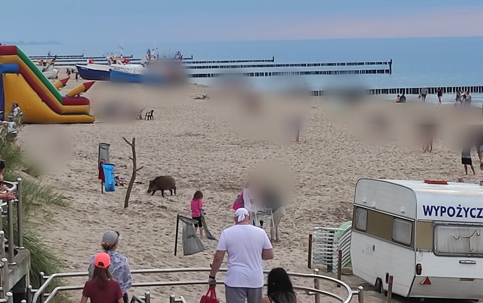 Trafiliśmy też na dziką plażę 😂😂🤪🤪😁😁 - kajkah