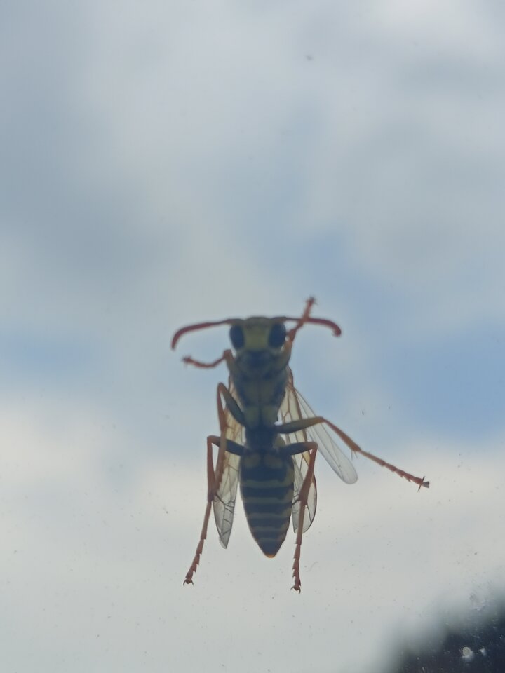 1000012176.jpg - mozeciekawy