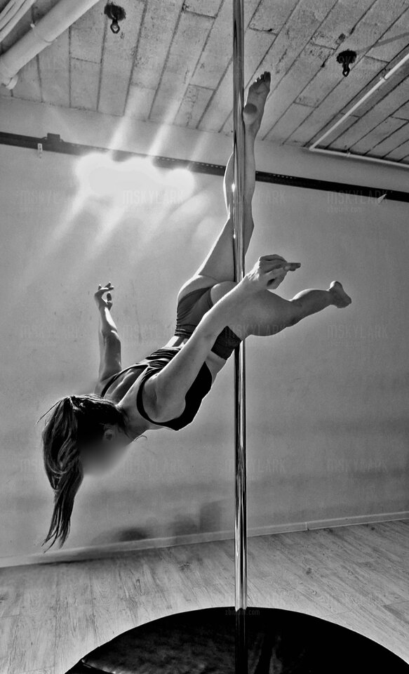 Modliszka - MSkylark