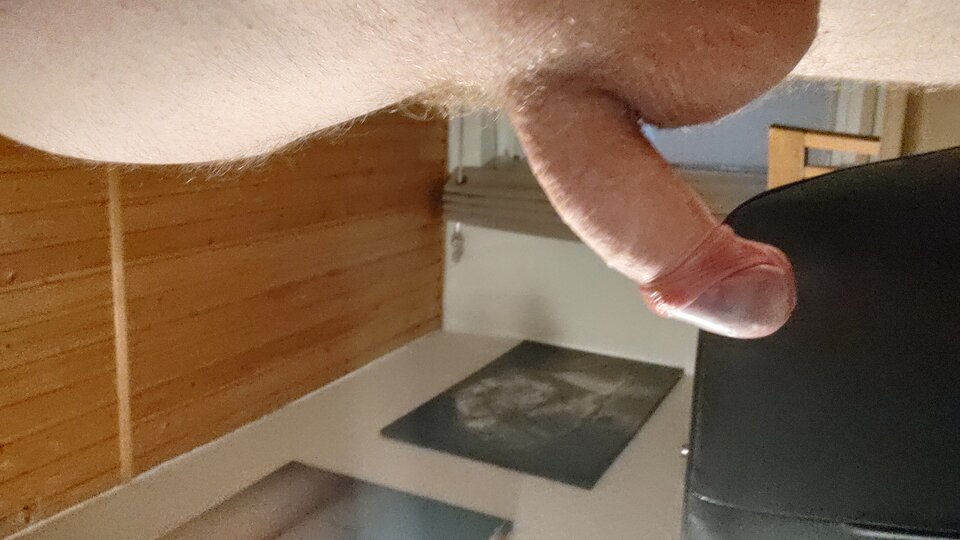 IMG_20230606_041507320_HDR.jpg - Piotrpiotr42