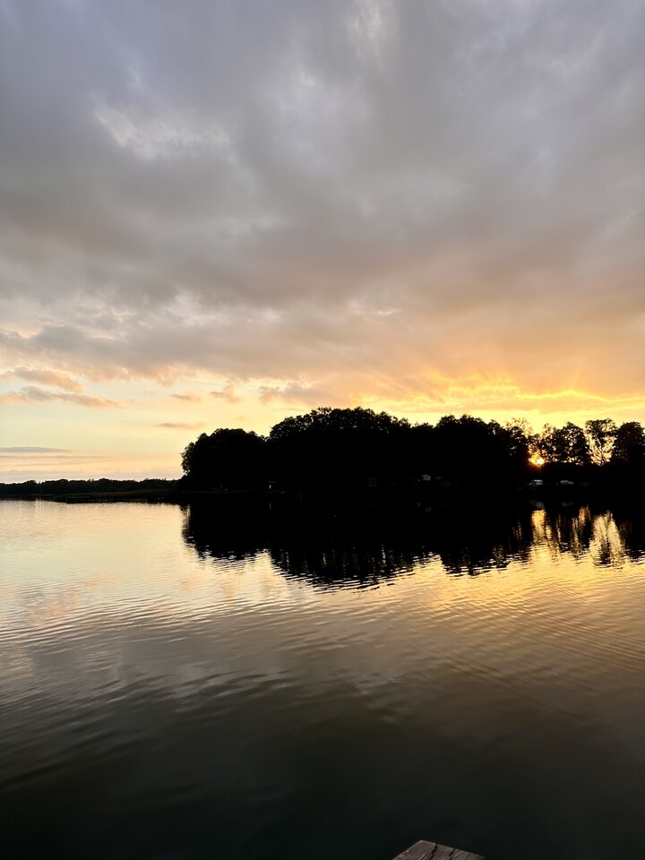 IMG_7022.jpeg - tommytomy