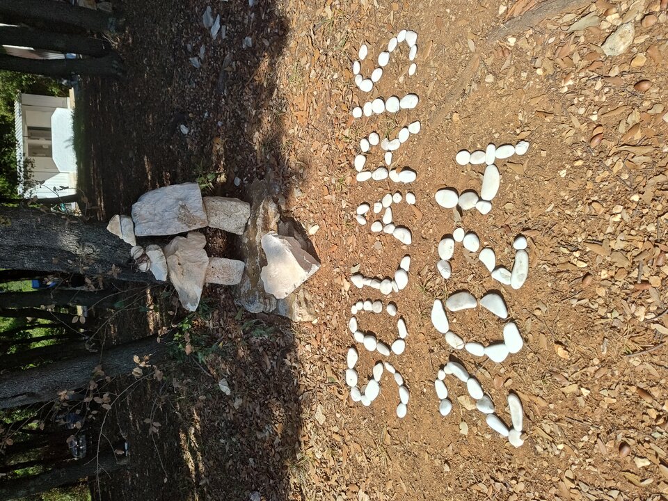 1000003806.jpg - KiciaiKocurek