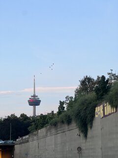 IMG_8790.jpeg