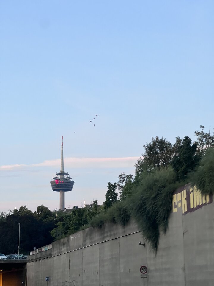 IMG_8790.jpeg - nrw670n
