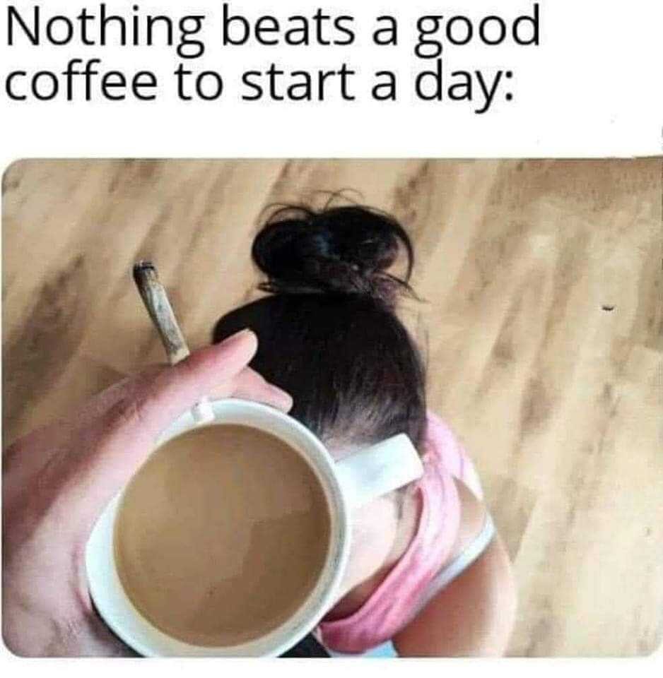 received_1335866970405612.jpeg - PaniczN