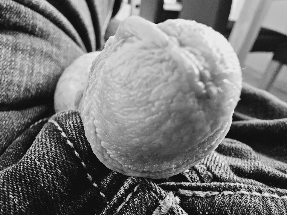 1000002590.jpg - Rokosz42