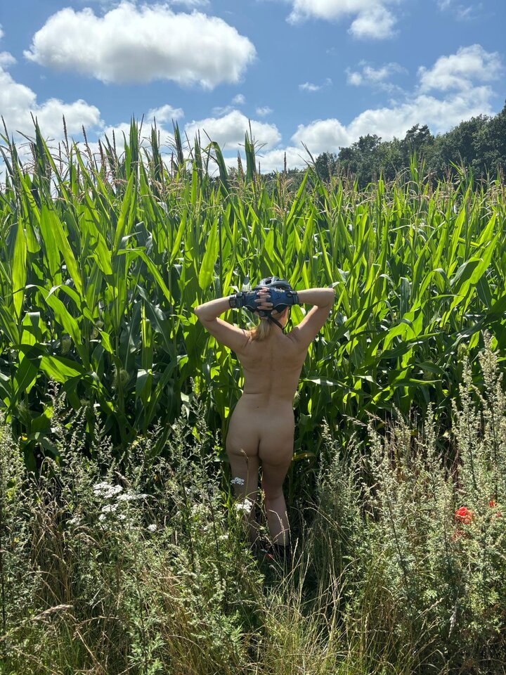 Tak zaczynają się amerykańskie horrory... - Dona_Trim