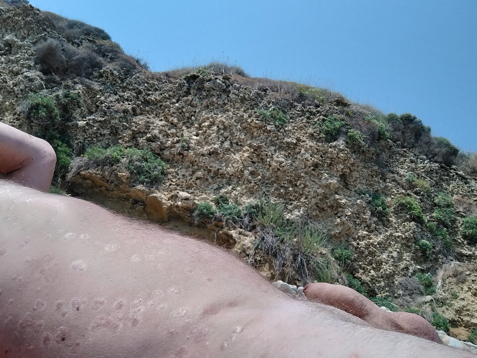 Smażenie jajek  - LekkoPogieci