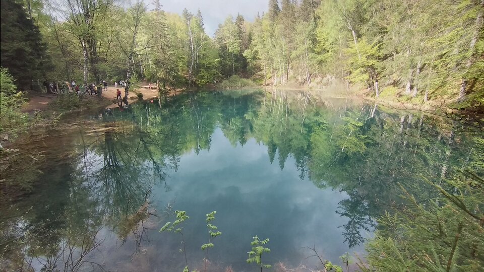 20240502_171119.jpg - cro111