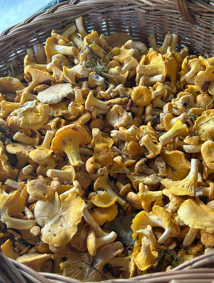 IMG_3420.jpeg - NaturystaXXX