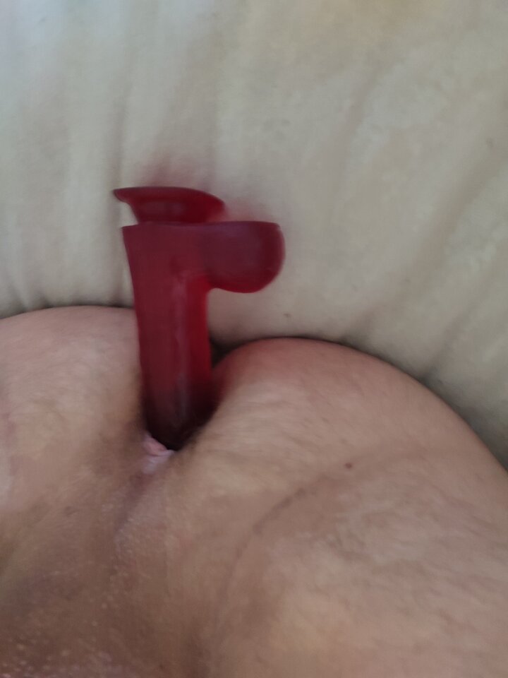 17213753178104441206945517624081.jpg - bi79bi