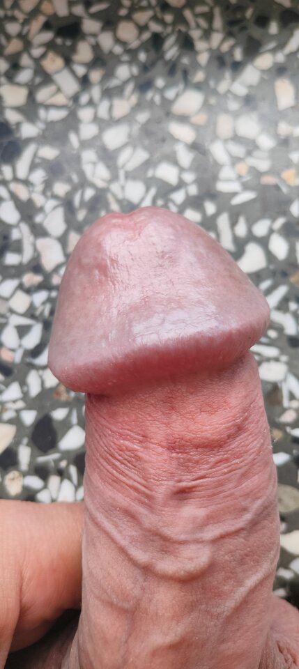 1000019344.jpg - szatan24