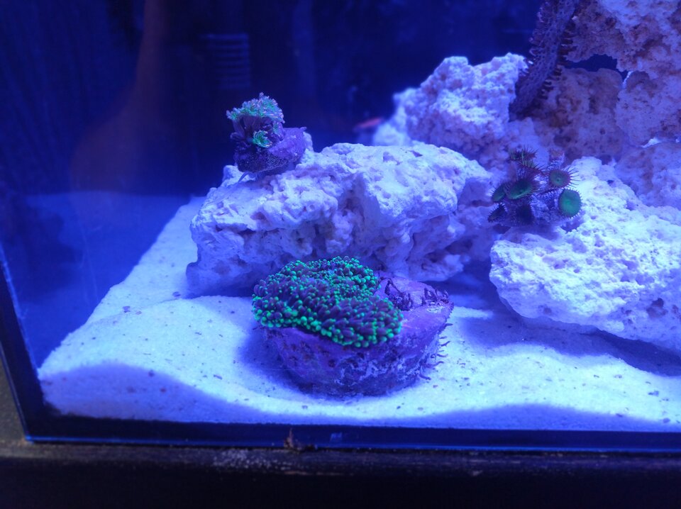 1000001557.jpg - Geralt197