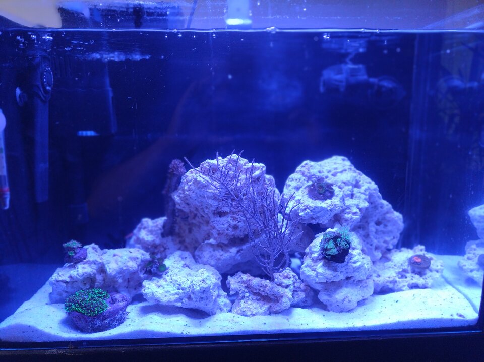 1000001556.jpg - Geralt197