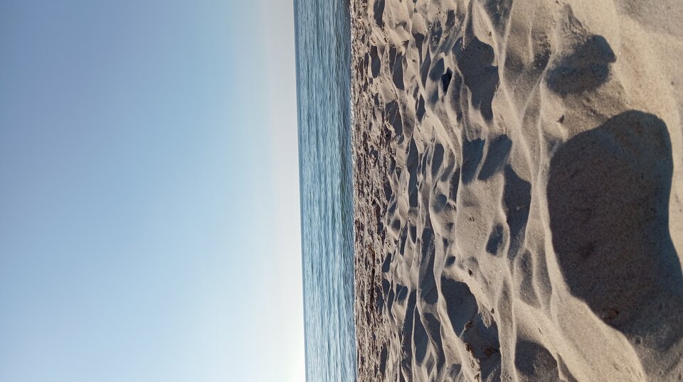 1000008664.jpg - Passion88