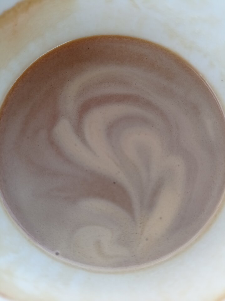 IMG_20240714_155444.jpg - puszysta_pani_krakow