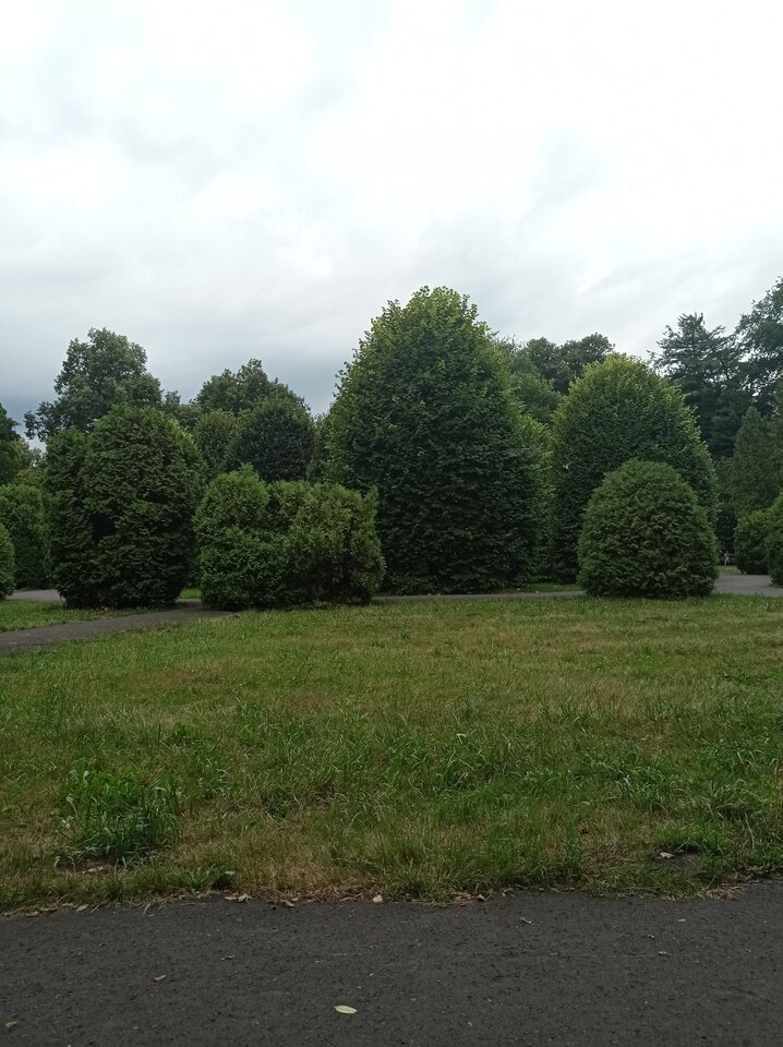 IMG_20240717_182039.jpg - puszysta_pani_krakow