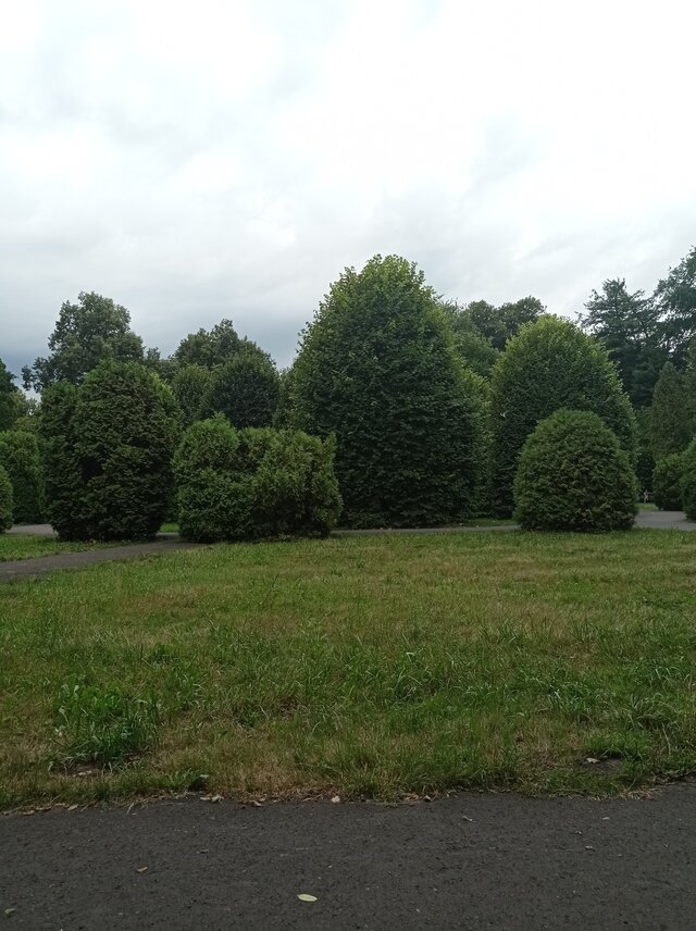 puszysta_pani_krakow